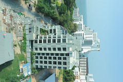 DSC_9919